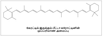 கரோடினாய்டு (Carotenoid)