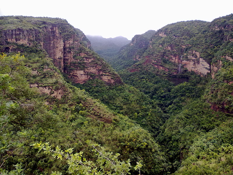 சாத்பூரா மலை